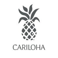 Cariloha Internship