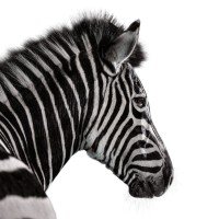 Investec Internship Investec Internship