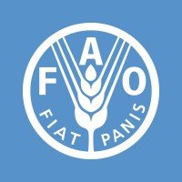 Fao Internship Fao Internship