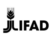 Ifad Internship Ifad Internship