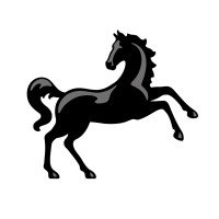 Lloyds Bank Internship