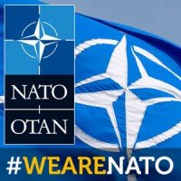 Nato Internship
