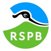 Rspb Internship Rspb Internship