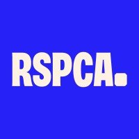 Rspca Internship