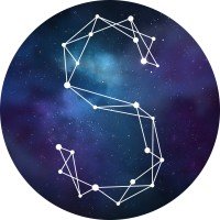 Stellify Media Internship