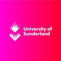 University Of Sunderland Internship